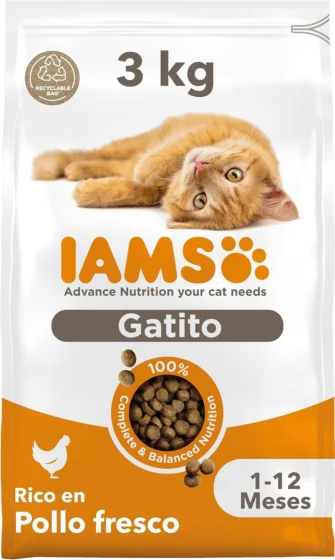 IAMS Ração seca para gatinhos junior de 1-12 meses com