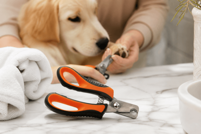 Candure corta-unhas: review para cães e gatos
