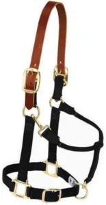Weaver Leather Breakaway, cabresto ajustável para potros