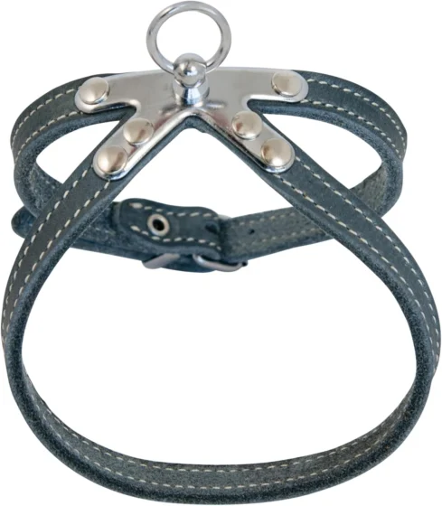 Jack and Vanilla, arnês de couro para cão, 50 cm x 10 mm