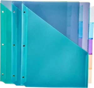 AmazonBasics Separadores de plástico de dois bolsos