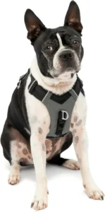 Kurgo Journey Air, arnês para cães ativos, tamanho S, preto