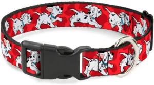 Buckle-Down, coleira para cães, dálmatas, pescoço 9-15