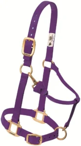 Weaver Leather, cabresto ajustável de nylon para cavalos