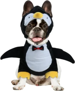 Hotumn, disfarce de pinguim para cão de Halloween
