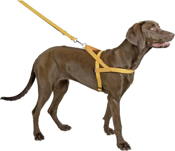 Kerbl Noruega, arnês refletor para cães, 20 mm
