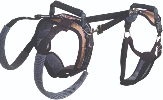 PetSafe CareLift, arnês de suporte para cães idosos
