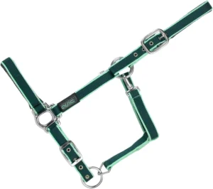United Sportproducts B445, trela para cão bicolor