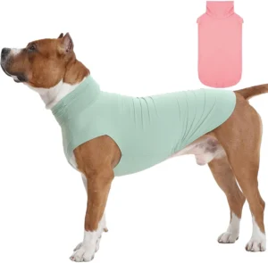 IECOii, pack de 2 t-shirts refrescantes para cães