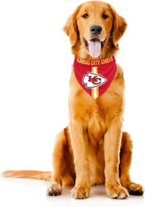 Little Earth, bandana NFL para cães