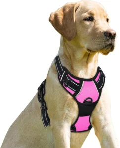 Barkbay, arnês antipuxões para cães grandes, tamanho M