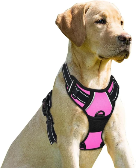 Barkbay, arnês antipuxões para cães grandes, tamanho M