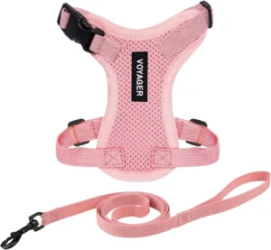 Best Pet Supplies Voyager, arnês e trela de gato, tamanho S