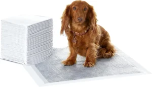 Amazon Basics, tapetes de treino para cães, normal, cinzento