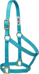 Weaver Leather 35-7404-TU Basic, Halter não regulável, cor turquesa