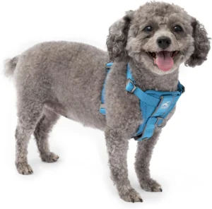 Kurgo Tru-Fit, arnês para cão com correia para cinto